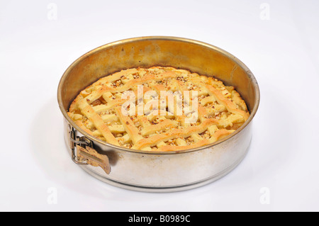 Hausgemachter Apfelkuchen Stockfoto