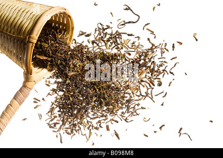 Eine Scooper voller Roh Tee überfüllt. Stockfoto