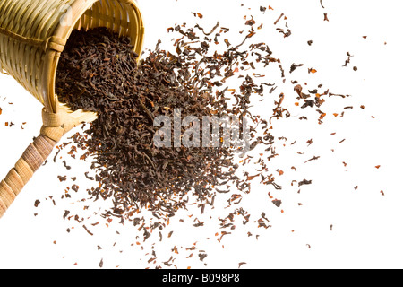 Ein überlaufenden Heap Roh Tee aus einem gewebten Scooper. Stockfoto