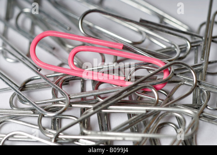 Stock Foto von einem Haufen von Silber Büroklammern mit einem rosa Büroklammer vom Rest abheben Stockfoto