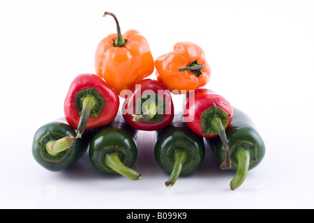 Grüne Jalapeno, Red Hot Chili Pepper und Orange Habanero Pfeffer Stockfoto