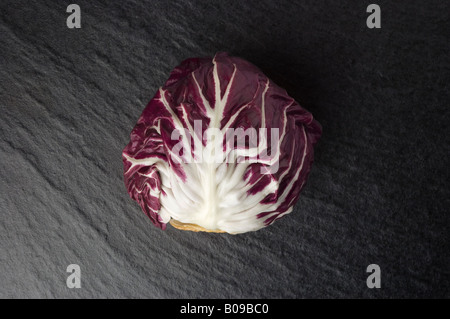 Roten Radicchio Radicchio Rosso di Treviso italienischer Chicorée Veggie bildende Kunst serie Stockfoto