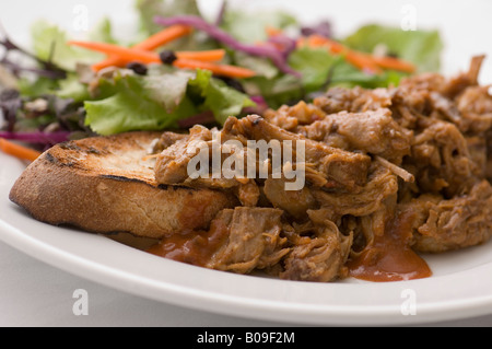 Ein pulled Pork Sandwich mit Salat. Stockfoto