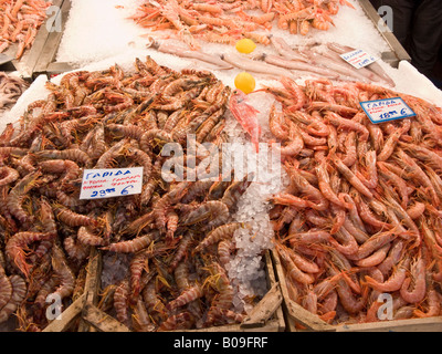 Meeresfrüchte-Stall, Zentralmarkt Athen, Athinas Street, Athen, Griechenland Stockfoto
