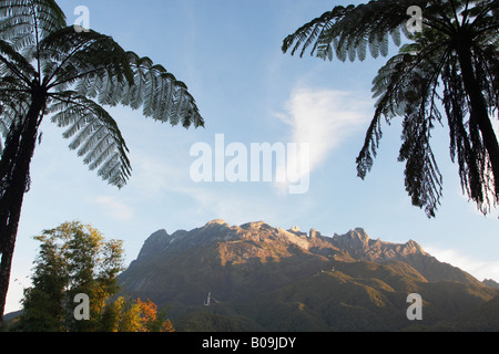 Mount Kinabalu im Morgengrauen, Kinabalu National Park, Sabah, Malaysia Borneo Stockfoto