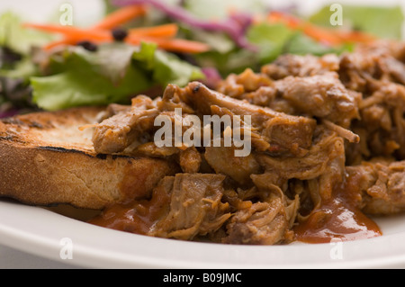 Ein pulled Pork Sandwich mit einer Seitenlänge von Salat. Stockfoto