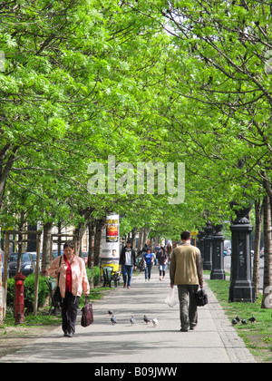 BUDAPEST, UNGARN. Die Allee der Andrassy Utca führt zu Városliget auf der Pestseite der Stadt. Stockfoto