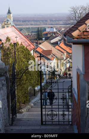 Schmiedeeisernes Tor in einem slowakischen Dorf, Svätý Jur, Slowakei, Osteuropa Stockfoto