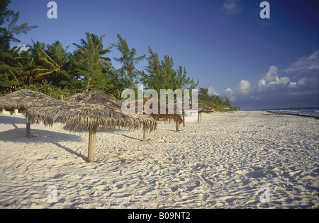 Leere rosa Sandstrand mit strohgedeckten Sonne schattiert Blau des Meeres am frühen Morgen Familie Inseln CORAL SANDS HOTEL HARBOUR ISLAND BAHAMAS Stockfoto
