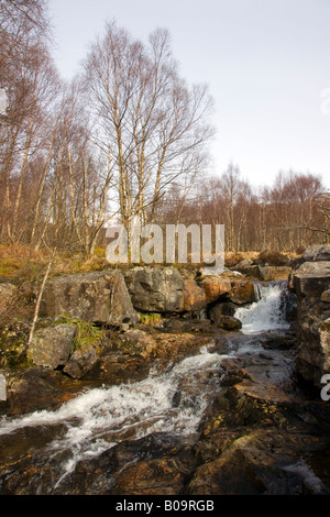 schottische Highland Gebirgsbach im winter Stockfoto