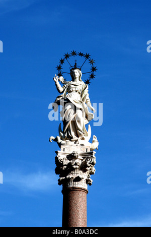 Stellario 261207 Stockfoto