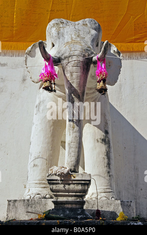 Elefanten-Statue am Chedi im Wat Phra Singh, Thailand, Chiang Mai Stockfoto