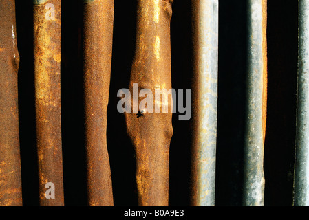 Metall-Bars mit Rost, Nahaufnahme Stockfoto