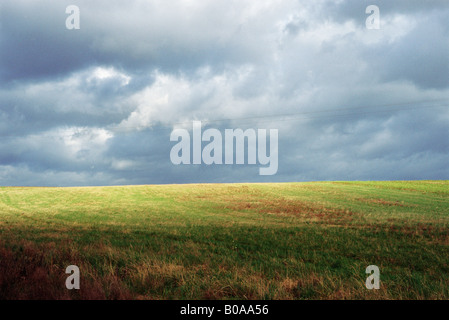 Graslandschaft mit Gewitterwolken, Stromleitungen im Abstand Stockfoto