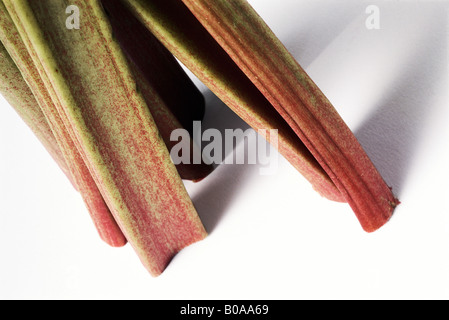 Rhabarber, extreme Nahaufnahme Stockfoto