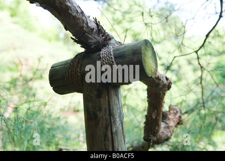 Ast mit Holzstütze, Nahaufnahme Stockfoto