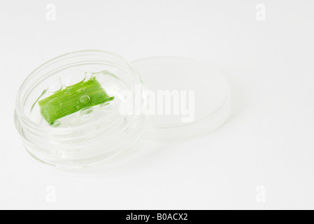 Aloe Vera gel Stockfoto