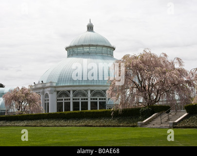 Wichtigsten Gebäude des New York Botanical Garden Steinhardt Wintergarten Stockfoto