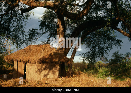Haus aus Schlamm und Grass, Fulaza Village, North Luangwa Nationalpark, Sambia. Stockfoto