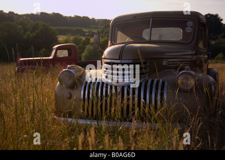 Amerikanische Oldtimer Ford und Chevrolet Pick-up-Trucks in einem Feld Stockfoto