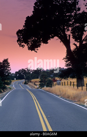 Morgenlicht über Landstraße in der Nähe von Plymouth Shenandoah Valley Amador County in Kalifornien Stockfoto