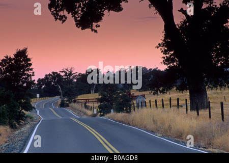 Morgenlicht über Landstraße in der Nähe von Plymouth Shenandoah Valley Amador County in Kalifornien Stockfoto