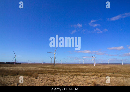 Wind Power Turbinen Causeymire Windpark North Schottland UK in der Nähe von Thurso Hochland Schottland Stockfoto