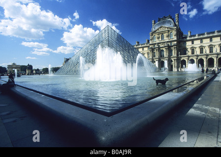 Musee du Louvre Museum und Kunstgalerie mit Pyramide Pyramide Hund genießt die Brunnen im Frühjahr Sonne Sonnenschein Paris Frankreich EU Stockfoto