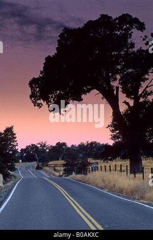 Morgenlicht über Landstraße in der Nähe von Plymouth Shenandoah Valley Amador County in Kalifornien Stockfoto