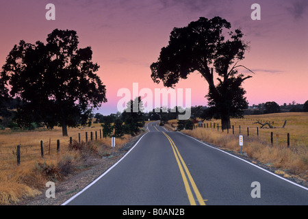 Morgenlicht über Landstraße in der Nähe von Plymouth Shenandoah Valley Amador County in Kalifornien Stockfoto