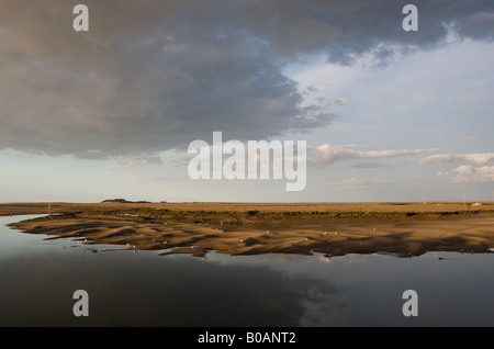 Sonnenuntergang über den Sümpfen Stockfoto