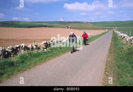 Wanderer zu Fuß entlang der einspurigen Straße in Rhins of Galloway zu Fuß hinunter den Mull of Galloway Scotland UK Stockfoto