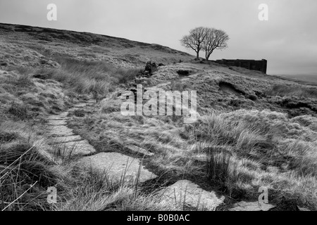 Fußweg auf Top Withens, in der Nähe von Haworth.  Top Withens wird gedacht, um Emily Brontes Wuthering Heights Roman inspiriert haben. Stockfoto