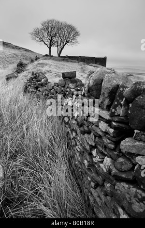 Trockenmauer am Top Withens, in der Nähe von Haworth.  Top Withens wird gedacht, um Emily Brontes Wuthering Heights Roman inspiriert haben. Stockfoto