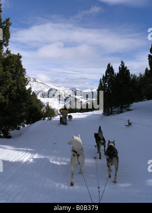 Schlittenhunderennen Andorra Pyrenäen Stockfoto