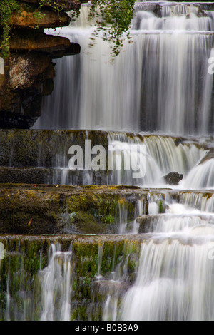 Cotter Kraft Wensleydale Yorkshire Dales National Park England Stockfoto