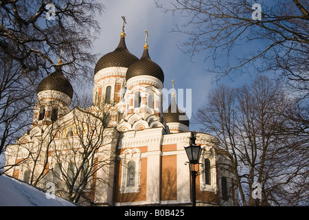 Alexander Nevsky Kathedrale Stockfoto