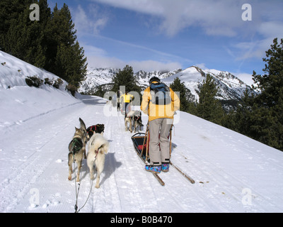 Schlittenhunderennen Andorra Pyrenäen Stockfoto