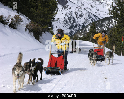 Schlittenhunderennen Andorra Pyrenäen Stockfoto