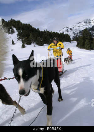 Schlittenhunderennen Andorra Pyrenäen Stockfoto