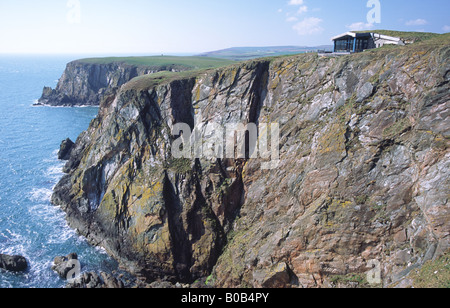 Das R.S.P.B Naturschutzgebiet am Mull of Galloway über Gallie Craig Felswand und Gallie Craig Teestube Scotland UK Stockfoto