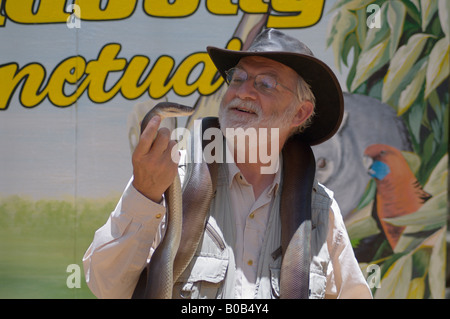 Touristischen Umgang mit Olive Python Stockfoto