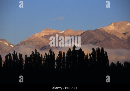 Dämmerung über Cordillera del Tigre und Silhouette Pappeln an Uspallata, in der Nähe von Mendoza, Argentinien Stockfoto