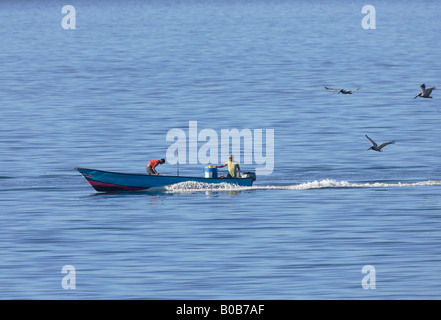 Schlauchboot, gefolgt von Pelikanen Costa Rica Angeln Stockfoto