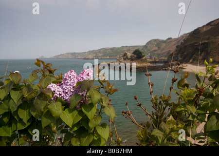 Bouley Bay, Jersey, Kanalinseln Stockfoto