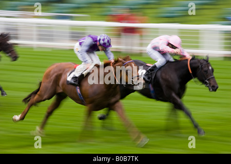 Pferderennen in Ascot Racecourse Berkshire England Großbritannien Stockfoto