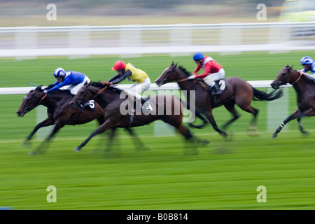 Pferderennen in Ascot Racecourse Berkshire England Großbritannien Stockfoto