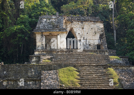 Schädel-Tempel in Palenque, Mexiko Stockfoto