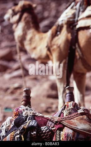 Kamel Sattel, St. Catherines Kloster Sinai-Halbinsel, Ägypten Stockfoto