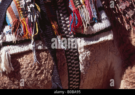 Kamel Sattel, St. Catherines Kloster Sinai-Halbinsel, Ägypten Stockfoto